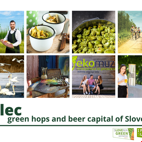 Green Scheme of Slovenian tourism