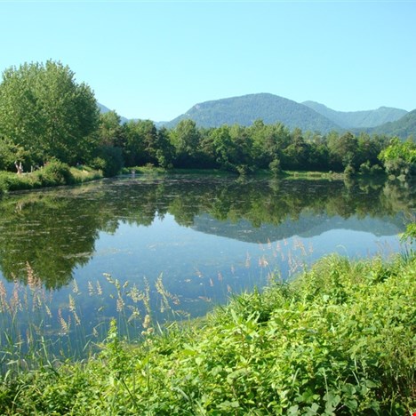 The Vrbje Pond