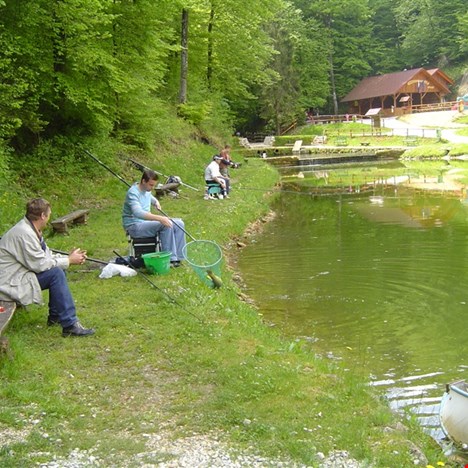 Tourist Farm Cokan - Steska pond