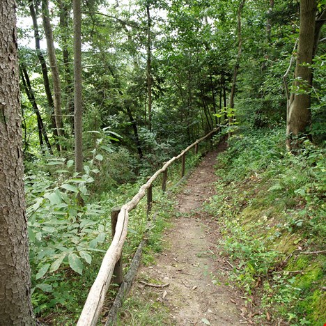 Il percorso didattico nel bosco di Hrastje Griže